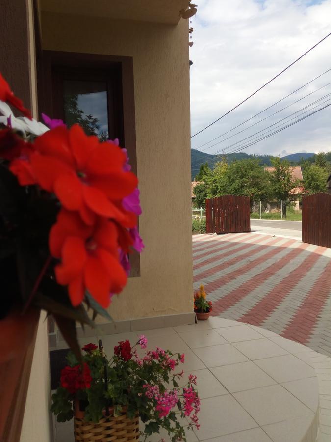 Casa Infinity Ξενοδοχείο Sovata Εξωτερικό φωτογραφία